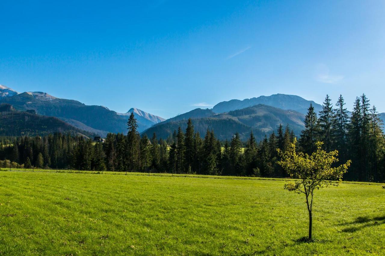 Udanypobyt Apartamenty Przy Lesie 2 Kościelisko Exteriér fotografie